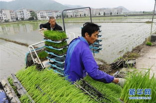 张家界茶坤缘生物科技开发有限公司网站案例